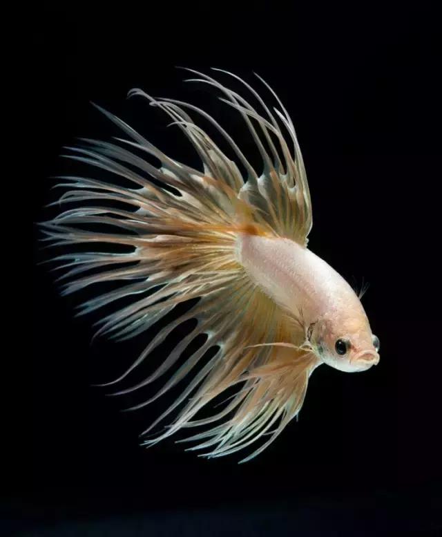 ϼ亱񡢵һ㣬ڼˣպã