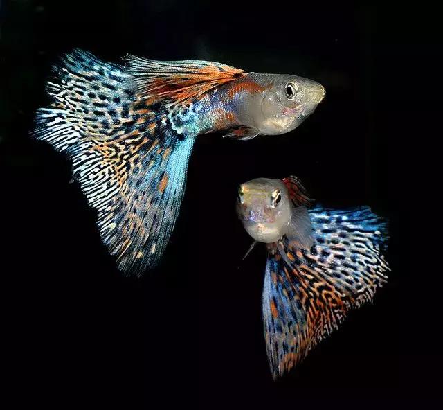 ϼ亱񡢵һ㣬ڼˣպã