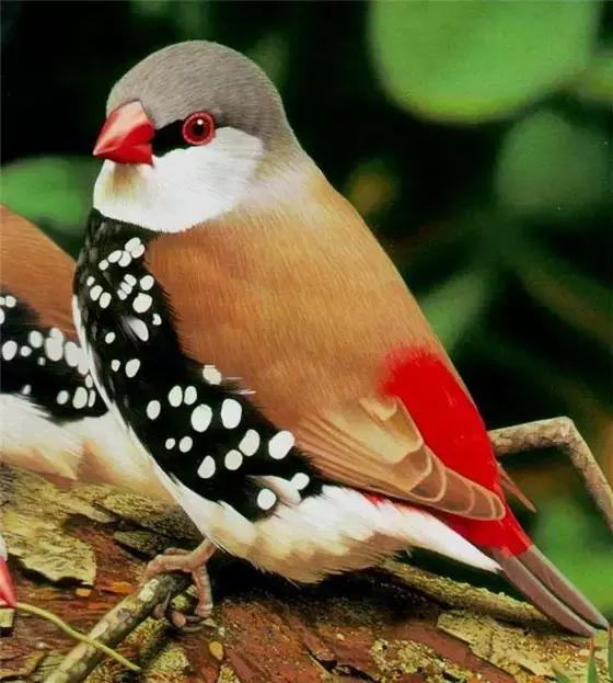 ϼ亱񡢵һ㣬ڼˣպã