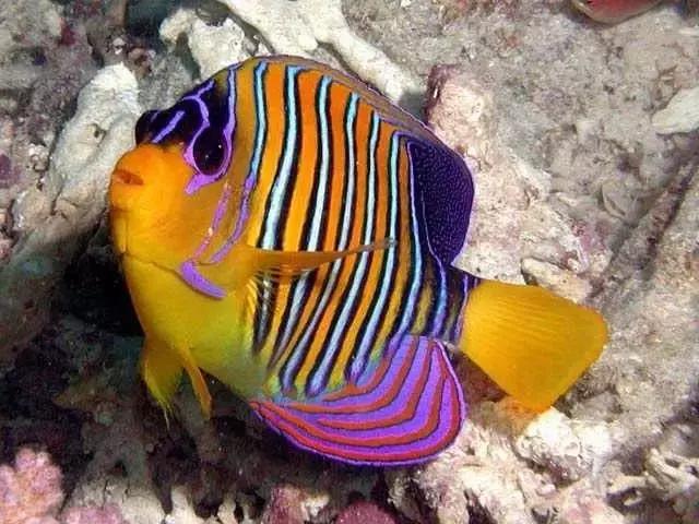 ϼ亱񡢵һ㣬ڼˣպã