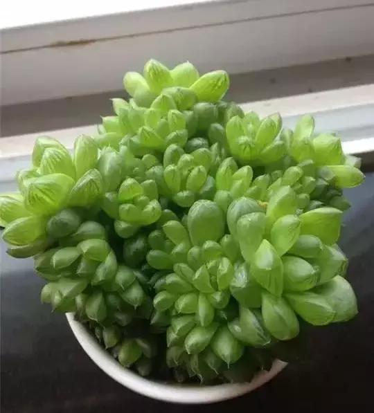 270ֶ⣬֣