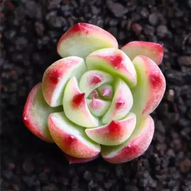 270ֶ⣬֣