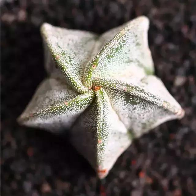 270ֶ⣬֣