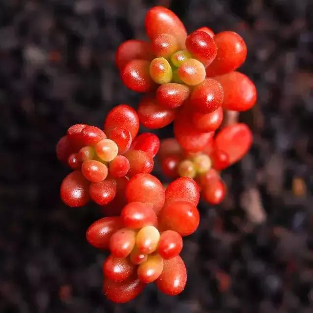 270ֶ⣬֣