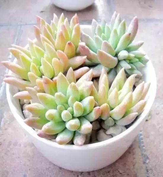 270ֶ⣬֣
