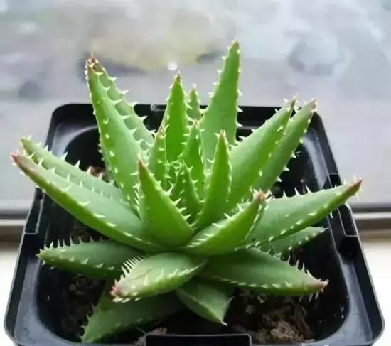270ֶ⣬֣