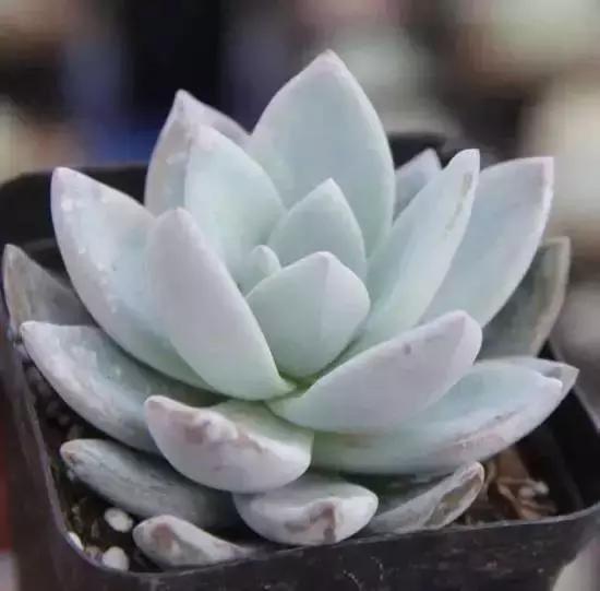 270ֶ⣬֣
