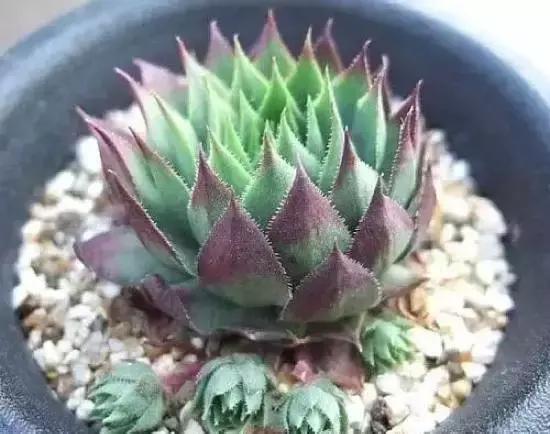 270ֶ⣬֣