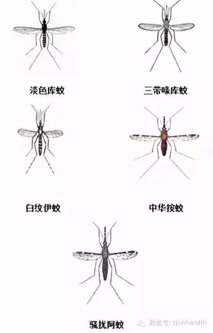 ϲҧʲôˣϣ㲻ҪãȫУ