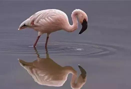 ͷʽ̸нꣿʵãֵղأ