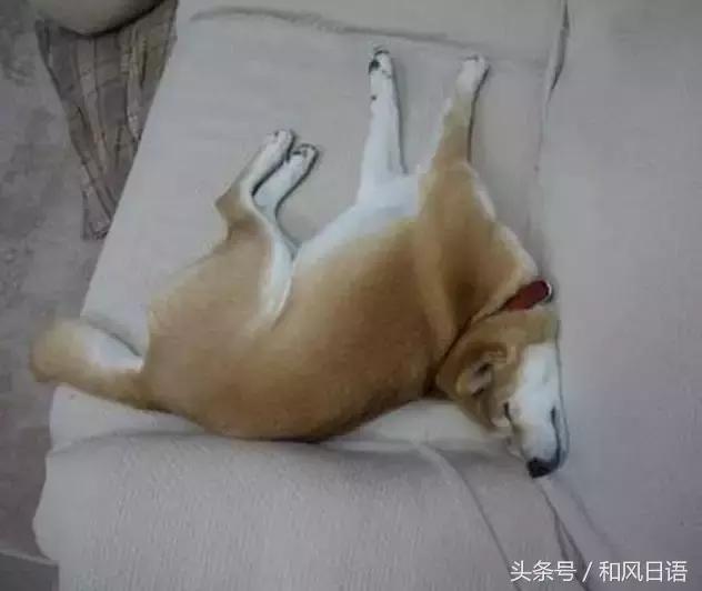 ʺ٣Щ˯˸һëһ