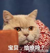 ʺ٣Щ˯˸һëһ