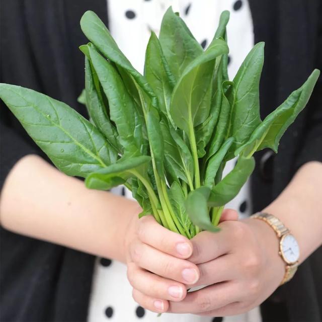 脂肪最怕的8种食物!越吃越瘦就是这种状态