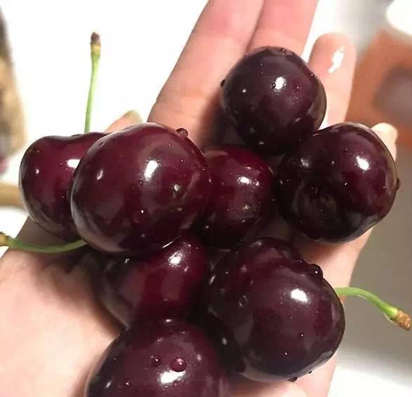 ʷȫӣָϣӺӣҵʲô