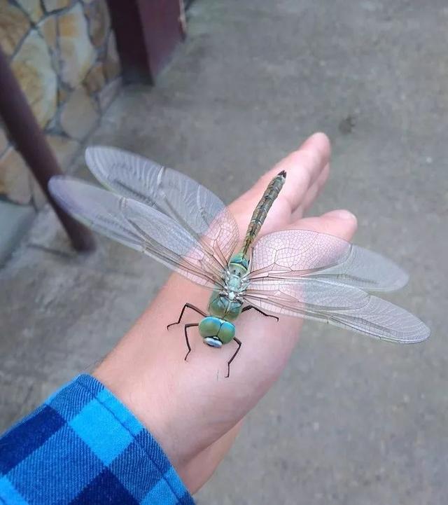 ĵ20źƬܴһ꣡