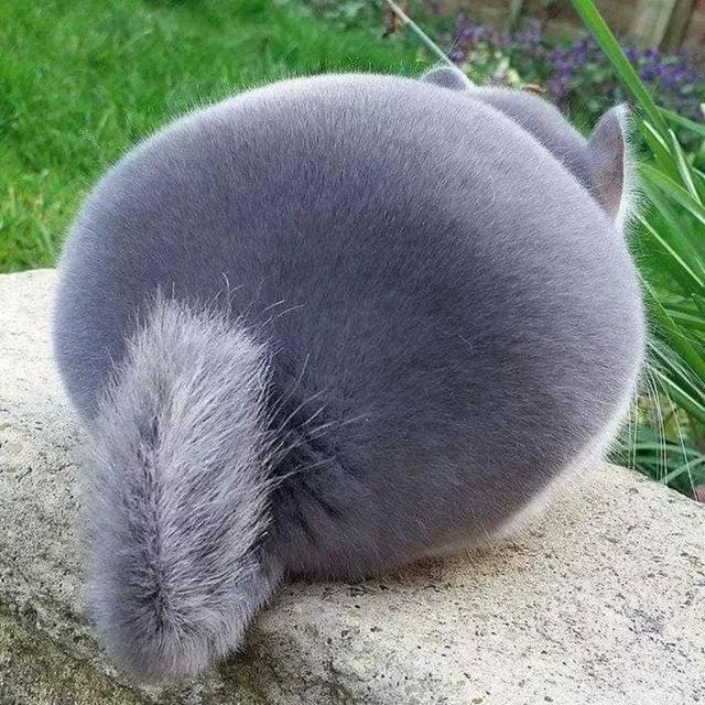 ĵ20źƬܴһ꣡