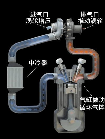 史上最全汽车入门知识图解,看车不迷糊