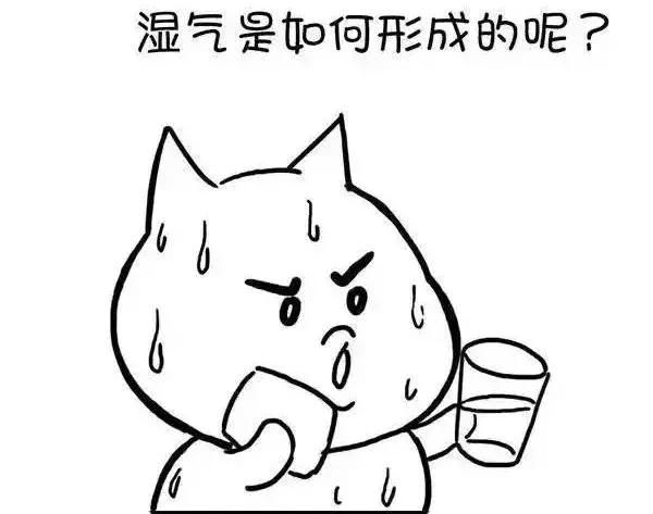 ʪγɵģ棩
