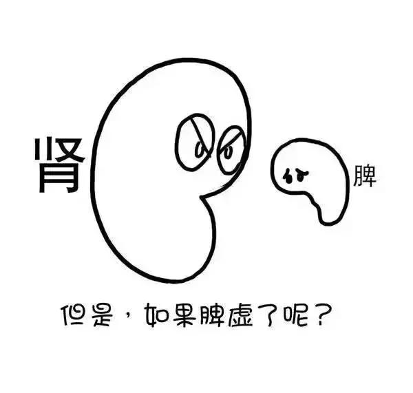 ʪγɵģ棩