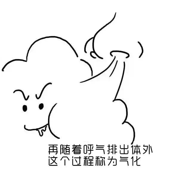ʪγɵģ棩