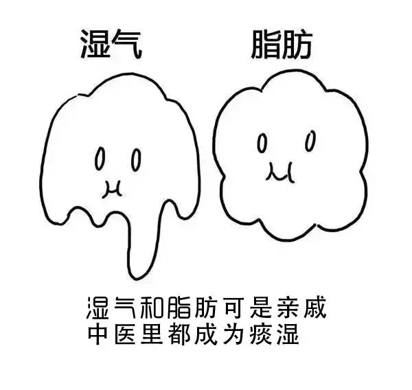 ʪγɵģ棩