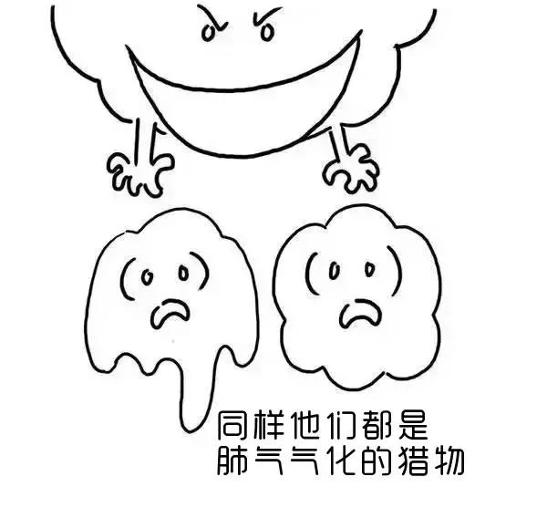 ʪγɵģ棩