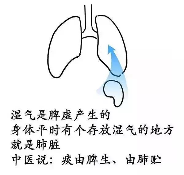 ʪγɵģ棩