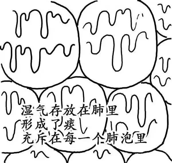 ʪγɵģ棩