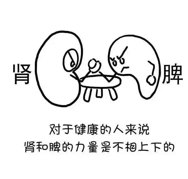 ʪγɵģ棩