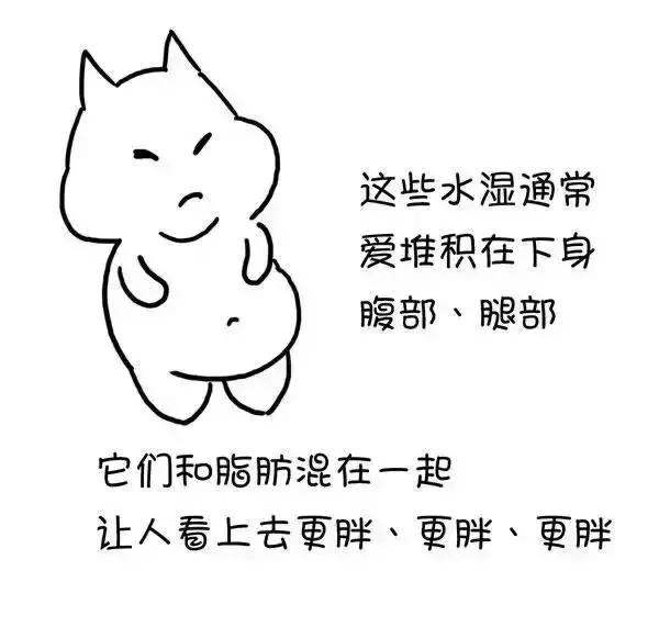 ʪγɵģ棩