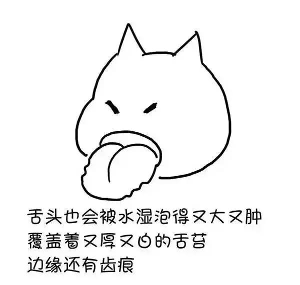 ʪγɵģ棩