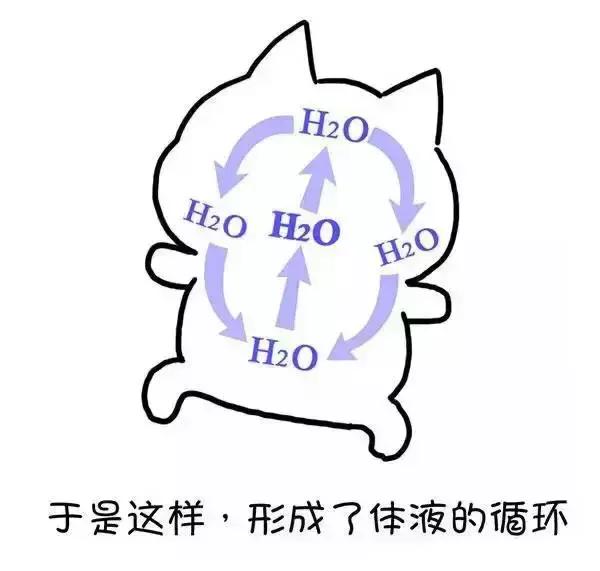 ʪγɵģ棩