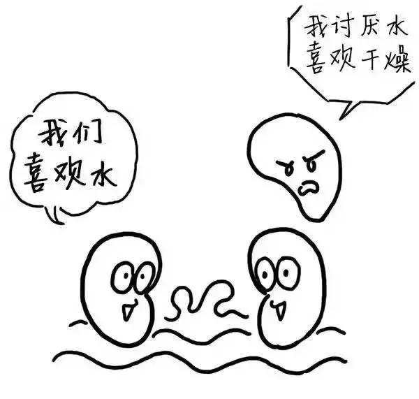 ʪγɵģ棩