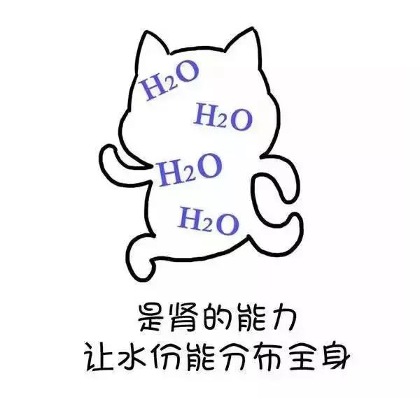 ʪγɵģ棩