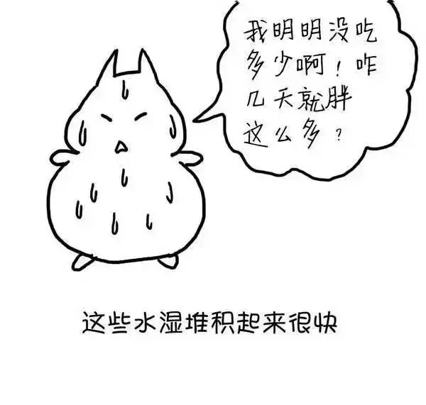ʪγɵģ棩