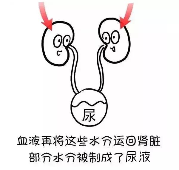 ʪγɵģ棩