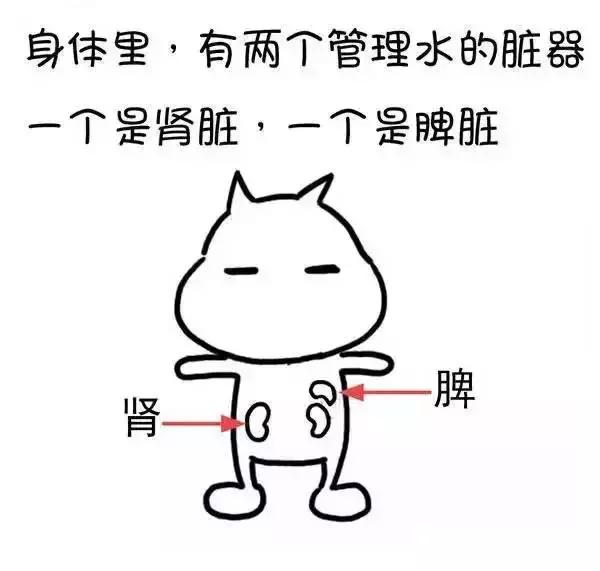 ʪγɵģ棩