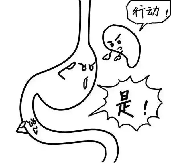 ʪγɵģ棩