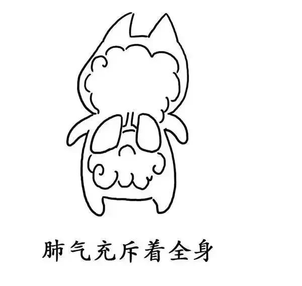 ʪγɵģ棩