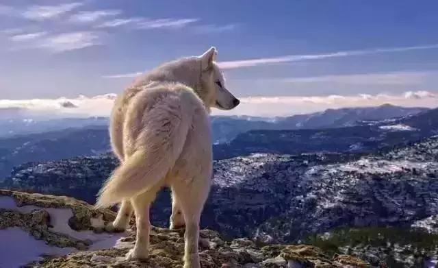 ���ʣ�����ȥ�Բݣ�̫�����ˣ�