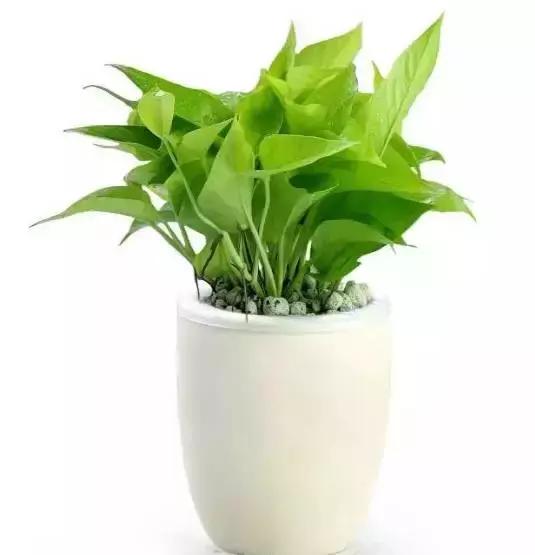 ܣȫֲֲᣬѡ˲Ч