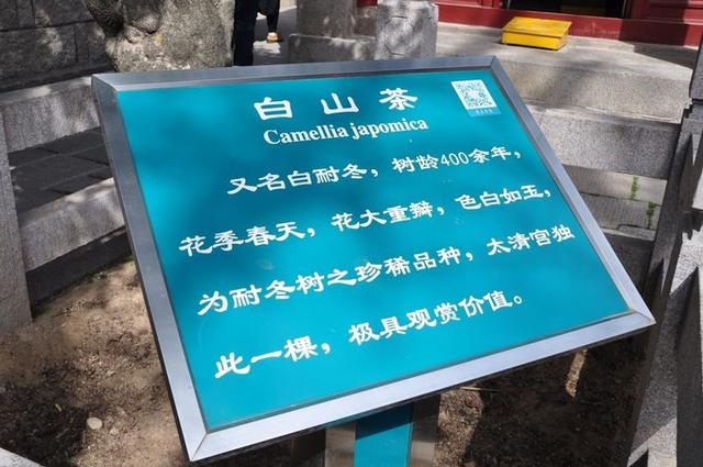 2018ϸൺ湥