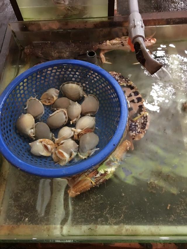 2018ϸൺ湥