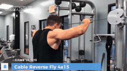 「干货」型男Abel Albonettis全套肩膀训练,带你榨干肩膀