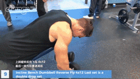 「干货」型男Abel Albonettis全套肩膀训练,带你榨干肩膀