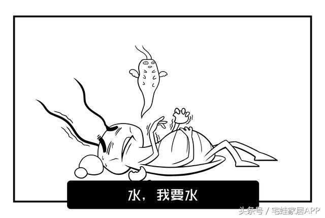 ܶ˲ʲô㼸ţ