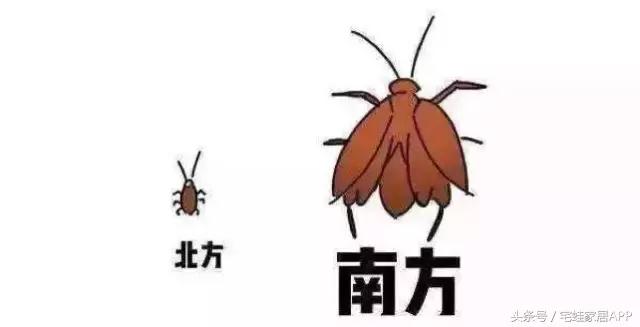 ܶ˲ʲô㼸ţ