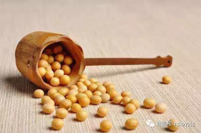 21种五谷杂粮的营养价值，好处各不同，受用一生！