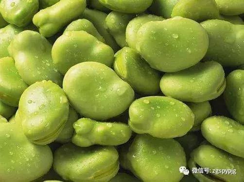21种五谷杂粮的营养价值，好处各不同，受用一生！