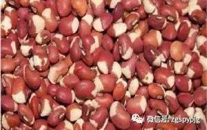 21种五谷杂粮的营养价值，好处各不同，受用一生！